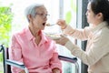 Young female caregiver or daughter feeding senior woman or mother in wheelchair at retirement house or home,asian elderly patient Royalty Free Stock Photo