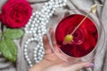 Young female caucasian hand holding a martini with olives, closeup, top view Royalty Free Stock Photo