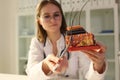 Young female dermatologist holds pen and anatomical model of human skin with hair. Royalty Free Stock Photo