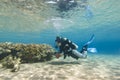 Young female diver in clear shallow water. Royalty Free Stock Photo