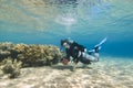 Young female diver in clear shallow water. Royalty Free Stock Photo