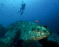 A Young Female Diver Shines a Light on a Small Underwater Wreck off of Catalina Island in California Royalty Free Stock Photo