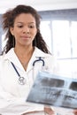 Young female doctor examining x-ray image Royalty Free Stock Photo