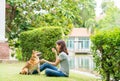 Young female and dog summer concept. The girl plays with the Shiba Inu dog in the backyard. Asian women are teaching and training