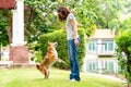 Young female and dog summer concept. The girl plays with the Shiba Inu dog in the backyard. Asian women are teaching and training