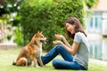 Young female and dog summer concept. The girl plays with the Shiba Inu dog in the backyard. Asian women are teaching and training