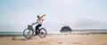 Young female dressed light summer clothes joyfully threw up her hand riding old vintage bicycle with front basket on the low tide Royalty Free Stock Photo