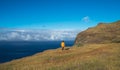 Young female dressed in orange waterproof jacket walking by the mountain above the cloud route on Madeira island, Ponta do Pargo,