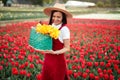 Happy woman holding basket with tulips on rural field Royalty Free Stock Photo