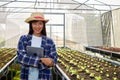 Young female farmer holds a tablet in a greenhouse filled with organic vegetables