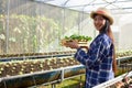 Young female farmer holds a wooden tray with organic vegetables in a nursery Royalty Free Stock Photo