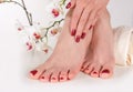 Manicured Perfection: Young Female Feet with Wine Color Pedicure Royalty Free Stock Photo