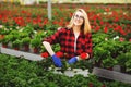 Young female gardener in gloves working in greenhouse, planting and taking care of flowers Royalty Free Stock Photo