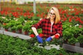 Young female gardener in gloves working in greenhouse, planting and taking care of flowers Royalty Free Stock Photo