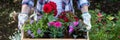 Young female gardener holding wooden crate full of flowers ready to be planted in a garden. Gardening hobby.