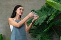 Young female gardener and tropical plant in minimalist garden. Blithe