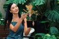 Young female gardener and tropical plant in minimalist garden. Blithe Royalty Free Stock Photo