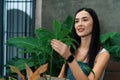 Young female gardener and tropical plant in minimalist garden. Blithe Royalty Free Stock Photo