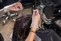 Young female hairdresser thoroughly dyeing hair of female client Royalty Free Stock Photo