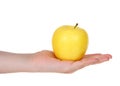 Young hand holding golden delicious yellow apple isolated on white Royalty Free Stock Photo