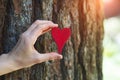 Young female hand holding red wooden heart against old tree trunk Royalty Free Stock Photo