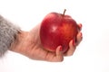 Red apple in woman hand isolated on white background Royalty Free Stock Photo