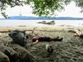 A young female hiker lying exhausted on the beach along the west coast trail, Vancouver Island, British Columbia, Canada.