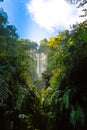 Young female hiker with a waterfall on the mountain surrounded by vegetation in the middle of the tropical jungle of Costa Rica Royalty Free Stock Photo