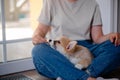 Young female holding Cute little Pembroke Welsh Corgi puppy. Taking care and adopting pets concept. Lifestyle minimalism