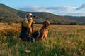 Young female hunter using binoculars for bird spotting with hungarian vizsla dog by her side, out in a meadow on a sunny evening. Royalty Free Stock Photo