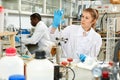 Young female lab technicians working with reagents and test tubes Royalty Free Stock Photo