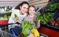 Young female and little girl shopping green veggies Royalty Free Stock Photo