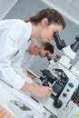 young female medical technician working in laboratory Royalty Free Stock Photo