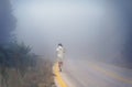 Young female in a raincoat on the road in the fog. Travel of women in the raincoat hitchhiking in the rain Royalty Free Stock Photo