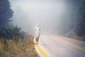 Young female in a raincoat on the road in the fog. Travel of women in the raincoat hitchhiking in the rain Royalty Free Stock Photo