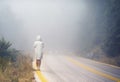 Young female in a raincoat on the road in the fog. Travel of women in the raincoat hitchhiking in the rain Royalty Free Stock Photo