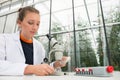 Young female researcher examining leaves under microscope at lab