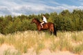 Young female rider atop a beautiful horse, cantering through a meadow of lush grass