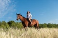 Young female rider atop a beautiful horse, cantering through a meadow of lush grass Royalty Free Stock Photo