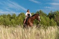 Young female rider atop a beautiful horse, cantering through a meadow of lush grass