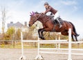 Young female rider on bay horse jump over hurdle Royalty Free Stock Photo