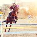 Young female rider on bay horse jump over hurdle Royalty Free Stock Photo