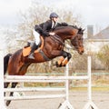 Young female rider on bay horse jump over hurdle Royalty Free Stock Photo