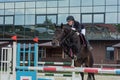 Show jumping. Summer Cup Competition 2018