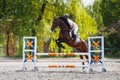 Young female rider jumping over obstacle on her show jumping competition Royalty Free Stock Photo