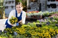 Young female seller holding wallflowers in pot