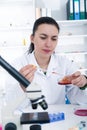 Young Female Scientist Analyzing Sample In Laboratory.laboratory assistant analyzing a sample Royalty Free Stock Photo