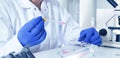 Young Female Scientist Analyzing Sample In Laboratory.laboratory assistant analyzing a sample Royalty Free Stock Photo