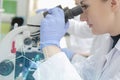 Young female scientist looking through a microscope in a laborat Royalty Free Stock Photo