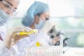 Young female scientist in protective glasses and gloves testing tube chemical ingredient to conduct research in laboratory,test